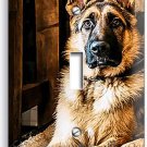 GORGEOUS ADULT GERMAN SHEPHERD DOG SINGLE LIGHT SWITCH WALL COVER NEW ROOM DECOR