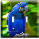 HYACINTH TROPICAL BLUE MACAW BIRD PARROT DOUBLE LIGHT SWITCH PLATE ROOM HD DECOR
