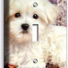 CUTE PUPPY DOG MALTESE RED FALL LEAVES SINGLE LIGHT SWITCH WALL COVER ROOM DECOR CUTE PUPPY DOG MALTESE RED FALL LEAVES SINGLE LIGHT SWITCH WALL COVER ROOM DECOR