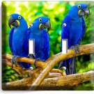 HYACINTH TROPICAL BLUE MACAW LOVE BIRDS PARROTS DOUBLE LIGHT SWITCH PLATE DECOR