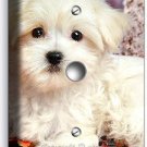 CUTE PUPPY DOG MALTESE RED FALL LEAVES LIGHT DIMMER CABLE WALL COVERS ROOM DECOR CUTE PUPPY DOG MALTESE RED FALL LEAVES LIGHT DIMMER CABLE WALL COVERS ROOM DECOR