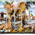 AFRICAN JUNGLE ANIMALS 3 GANG GFI LIGHTSWITCH WALL PLATE BABY NURSERY ROOM DECOR AFRICAN JUNGLE ANIMALS 3 GANG GFI LIGHTSWITCH WALL PLATE BABY NURSERY ROOM DECOR