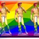 MICHELANGELO DAVID BORN THIS WAY RAINBOW 3 GHAN LIGHT SWITCH WALLPLATE GAY PRIDE MICHELANGELO DAVID BORN THIS WAY RAINBOW 3 GHAN LIGHT SWITCH WALLPLATE GAY PRIDE