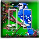 BLUE JAY NORTH AMERICAN BIRD ON A TREE 2 GANG GFCI LIGHT SWITCH PLATE ROOM DECOR BLUE JAY NORTH AMERICAN BIRD ON A TREE 2 GANG GFCI LIGHT SWITCH PLATE ROOM DECOR