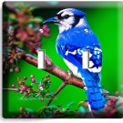 BLUE JAY NORTH AMERICAN BIRD ON A TREE 2 GANG LIGHT SWITCH WALL PLATE ROOM DECOR BLUE JAY NORTH AMERICAN BIRD ON A TREE 2 GANG LIGHT SWITCH WALL PLATE ROOM DECOR