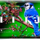 BLUE JAY NORTH AMERICAN BIRD ON A TREE 4 GANG LIGHT SWITCH WALL PLATE ROOM DECOR