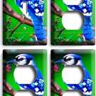 BLUE JAY NORTH AMERICAN BIRD TREE 1 LIGHT SWITCH 3 OUTLET WALL PLATES ROOM DECOR