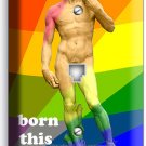 MICHELANGELO DAVID BORN THIS WAY RAINBOW PHONE TELEPHONE COVER PLATES GAY PRIDE MICHELANGELO DAVID BORN THIS WAY RAINBOW PHONE TELEPHONE COVER PLATES GAY PRIDE