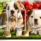 CUTE FRENCH BULLDOG PUPPY DOG TRIPLE GFI LIGHT SWITCH WALLPLATE COVER ROOM DECOR CUTE FRENCH BULLDOG PUPPY DOG TRIPLE GFI LIGHT SWITCH WALLPLATE COVER ROOM DECOR
