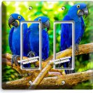 HYACINTH TROPICAL BLUE MACAW BIRDS PARROTS DOUBLE GFCI LIGHT SWITCH PLATE DECOR HYACINTH TROPICAL BLUE MACAW BIRDS PARROTS DOUBLE GFCI LIGHT SWITCH PLATE DECOR