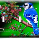 BLUE JAY NORTH AMERICAN BIRD ON A TREE 3 GANG LIGHT SWITCH WALL PLATE ROOM DECOR