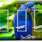 TROPICAL BLUE MACAW BIRD PARROT TRIPLE GFCI LIGHT SWITCH PLATE ROOM HOME DECOR TROPICAL BLUE MACAW BIRD PARROT TRIPLE GFCI LIGHT SWITCH PLATE ROOM HOME DECOR
