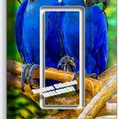 HYACINTH TROPICAL BLUE MACAW BIRDS PARROTS SINGLE GFCI LIGHT SWITCH PLATE DECOR HYACINTH TROPICAL BLUE MACAW BIRDS PARROTS SINGLE GFCI LIGHT SWITCH PLATE DECOR