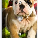 CUTE FRENCH BULLDOG PUPPY DOG PHONE TELEPHONE WALL PLATE COVERS ROOM HOME DECOR