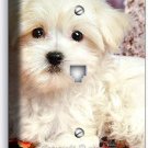 CUTE PUPPY DOG MALTESE FALL LEAVES PHONE TELEPHONE WALL PLATE COVERS ROOM DECOR CUTE PUPPY DOG MALTESE FALL LEAVES PHONE TELEPHONE WALL PLATE COVERS ROOM DECOR
