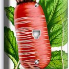 RED RADIS GRAVURE PHONE TELEPHONE WALL PLATE COVER VEGETARIAN KITCHEN HOME DECOR
