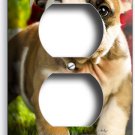 CUTE FRENCH BULLDOG PUPPY DOG OUTLET WALL PLATE COVER BEDROOM ROOM HOME HD DECOR CUTE FRENCH BULLDOG PUPPY DOG OUTLET WALL PLATE COVER BEDROOM ROOM HOME HD DECOR