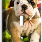 CUTE FRENCH BULLDOG PUPPIES DOG SINGLE LIGHT SWITCH WALL PLATE COVERS ROOM DECOR CUTE FRENCH BULLDOG PUPPIES DOG SINGLE LIGHT SWITCH WALL PLATE COVERS ROOM DECOR