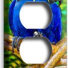 HYACINTH TROPICAL BLUE MACAW LOVE BIRDS PARROTS OUTLET WALL PLATE BEDROOM DECOR HYACINTH TROPICAL BLUE MACAW LOVE BIRDS PARROTS OUTLET WALL PLATE BEDROOM DECOR