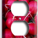 RED RADISHES OUTLET WALL PLATE COVER VEGAN VEGETARIAN KITCHEN CAFE BISTRO DECOR RED RADISHES OUTLET WALL PLATE COVER VEGAN VEGETARIAN KITCHEN CAFE BISTRO DECOR