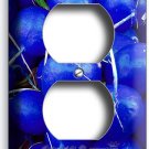 BLUE RADISHES OUTLET WALL PLATE COVER VEGAN VEGETARIAN KITCHEN HOME HOUSE DECOR