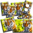 GORGEOUS WILD INDIAN RED BENGAL TIGER LIGHT SWITCH OUTLET WALL PLATES ROOM DECOR GORGEOUS WILD INDIAN RED BENGAL TIGER LIGHT SWITCH OUTLET WALL PLATES ROOM DECOR