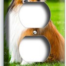 GORGEOUS ROUGH COLLIE DOG OUTLET WALL PLATES GROOMING PET SALON ROOM HOME DECOR GORGEOUS ROUGH COLLIE DOG OUTLET WALL PLATES GROOMING PET SALON ROOM HOME DECOR