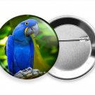 HYACINTH TROPICAL BLUE MACAW PARROT NEW PIN PINBACK BUTTON BIRD LOVER GIFT IDEA HYACINTH TROPICAL BLUE MACAW PARROT NEW PIN PINBACK BUTTON BIRD LOVER GIFT IDEA