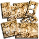BEAUTIFUL MAPLE WOOD EYE GRAIN LOOK LIGHT SWITCH OUTLET WALL PLATE ROOM DECOR BEAUTIFUL MAPLE WOOD EYE GRAIN LOOK LIGHT SWITCH OUTLET WALL PLATE ROOM DECOR