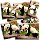 CUTE BABY PANDA BEAR CUB WILD JUNGLE LIGHT SWITCH OUTLET WALL PLATES ROOM DECOR