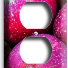 SWEET RED DELICIOUS MACINTOSH APPLES OUTLET WALL PLATES KITCHEN ROOM VEGAN DECOR SWEET RED DELICIOUS MACINTOSH APPLES OUTLET WALL PLATES KITCHEN ROOM VEGAN DECOR