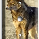 WILD AMERICAN COYOTE SNOW WINTER PRAIRIE LIGHT DIMMER CABLE WALL PLATE ART DECOR WILD AMERICAN COYOTE SNOW WINTER PRAIRIE LIGHT DIMMER CABLE WALL PLATE ART DECOR