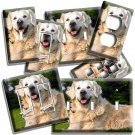 GORGEOUS ADULT GOLDEN RETRIEVER DOG LIGHT SWITCH OUTLET WALL PLATE ROOM HD DECOR GORGEOUS ADULT GOLDEN RETRIEVER DOG LIGHT SWITCH OUTLET WALL PLATE ROOM HD DECOR