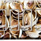 CRACKED PISTACHIO NUT SHELLS 4 GFCI LIGHT SWITCH PLATE OUTLET KITCHEN SHOP DECOR CRACKED PISTACHIO NUT SHELLS 4 GFCI LIGHT SWITCH PLATE OUTLET KITCHEN SHOP DECOR
