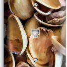 CRACKED PISTACHIO NUT SHELLS PHONE TELEPHONE COVER PLATE OUTLET KITCHEN HD DECOR CRACKED PISTACHIO NUT SHELLS PHONE TELEPHONE COVER PLATE OUTLET KITCHEN HD DECOR