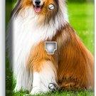 GORGEOUS ROUGH COLLIE DOG PHONE TELEPHONE COVER WALL PLATES GROOMING SALON DECOR