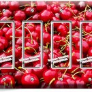 SWEET RED FARM CHERRIES 4 GFCI LIGHT SWITCH PLATES KITCHEN DINING ROOM ART DECOR