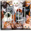 CUTE BLACK KITTIE CATS BLUE GREEN EYES 2 GFCI LIGHT SWITCH WALL PLATE ROOM DECOR
