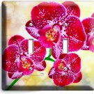 SPOTTED ORCHID FLOWERS 2 GANG LIGHT SWITCH WALL PLATES FLORAL BEDROOM ROOM DECOR SPOTTED ORCHID FLOWERS 2 GANG LIGHT SWITCH WALL PLATES FLORAL BEDROOM ROOM DECOR