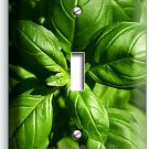 SWEET FRESH BASIL GREEN HERB 1 GANG LIGHT SWITCH WALL PLATES HOME KITCHEN DECOR SWEET FRESH BASIL GREEN HERB 1 GANG LIGHT SWITCH WALL PLATES HOME KITCHEN DECOR