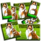 GORGEOUS ROUGH COLLIE DOG LIGHTSWITCH OUTLET WALL PLATE GROOMING PET SALON DECOR GORGEOUS ROUGH COLLIE DOG LIGHTSWITCH OUTLET WALL PLATE GROOMING PET SALON DECOR