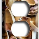 CRACKED PISTACHIO NUT SHELLS OUTLET WALL PLATE OUTLET KITCHEN ROOM SHOP HD DECOR CRACKED PISTACHIO NUT SHELLS OUTLET WALL PLATE OUTLET KITCHEN ROOM SHOP HD DECOR