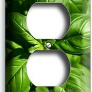 SWEET FRESH BASIL GREEN HERB OUTLET WALL PLATE ART VEGETARIAN KITCHEN HOME DECOR