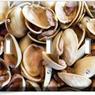 CRACKED PISTACHIO NUT SHELLS 3 GANG LIGHT SWITCH PLATE OUTLET KITCHEN SHOP DECOR CRACKED PISTACHIO NUT SHELLS 3 GANG LIGHT SWITCH PLATE OUTLET KITCHEN SHOP DECOR