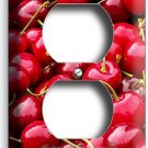 SWEET RED FARM CHERRIES OUTLET WALL PLATES KITCHEN DINING ROOM HOME CAFFE DECOR