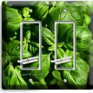 SWEET FRESH BASIL GREEN HERB 2 GFCI LIGHT SWITCH WALL PLATES HOME KITCHEN DECOR SWEET FRESH BASIL GREEN HERB 2 GFCI LIGHT SWITCH WALL PLATES HOME KITCHEN DECOR