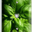 SWEET FRESH BASIL GREEN HERB PHONE TELEPHONE COVER WALL PLATE HOME KITCHEN DECOR