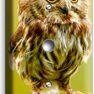 CUTE LITTLE BABY OWL LIGHT DIMMER CABLE WALL PLATE BEDROOM NURSERY ROOM HD DECOR CUTE LITTLE BABY OWL LIGHT DIMMER CABLE WALL PLATE BEDROOM NURSERY ROOM HD DECOR