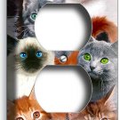 CUTE BLACK KITTIE CATS BLUE GREEN EYES OUTLET WALL PLATE PET GROOMING SALON ECOR