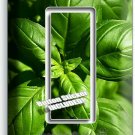 SWEET FRESH BASIL GREEN HERB 1 GFCI LIGHT SWITCH WALL PLATES HOME KITCHEN DECOR SWEET FRESH BASIL GREEN HERB 1 GFCI LIGHT SWITCH WALL PLATES HOME KITCHEN DECOR